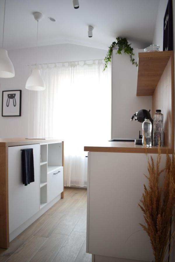 Voya Nordic Apartment-A Luxury Oasis In The Old Town Brassó Kültér fotó